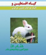 روی جلد کتاب گیاه افسنطین و التیام جراحات ت