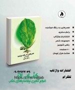عصرهایی به رنگ دو شنبه