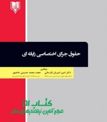 حقوق جزای اختصاصی رایانه ای 