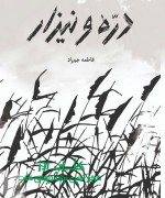 دره و نیزار