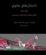 داستان های مثنوی(جلد اول)