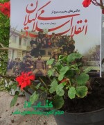 عکس های رحیم سمیع از انقلاب اسلامی در گیلان