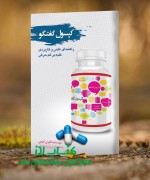 کپسول گفتگو