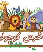 خرس کوچولو به ماهیگیری می رود