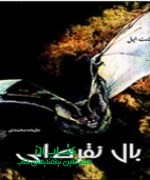 بال نقره ای