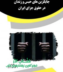 جایگزین های حبس و زندان در حقوق جزا